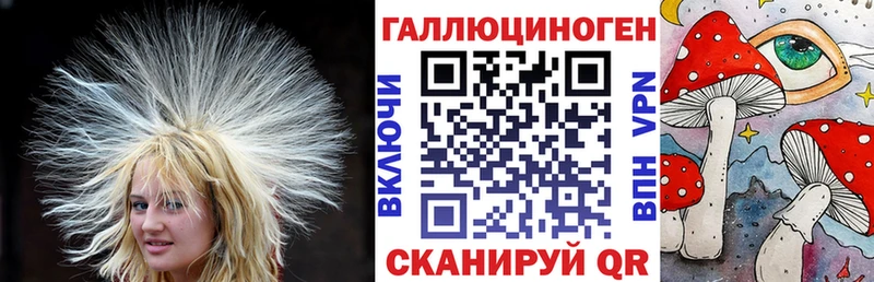 OMG Собинка Галлюциногенные грибы Psilocybine cubensis где можно купить наркотик